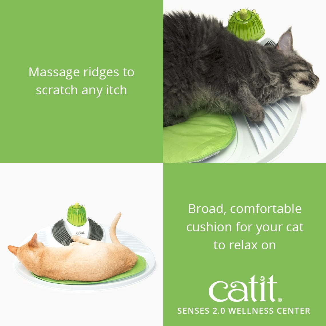 CatIt Senses - Wellness Center