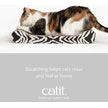 Cat Scratcher Lounger with Catnip - White Tiger Print