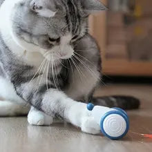 Wicked Mouse Electronic Interactive Cat Toy