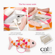 CatIt - Groovy Fish