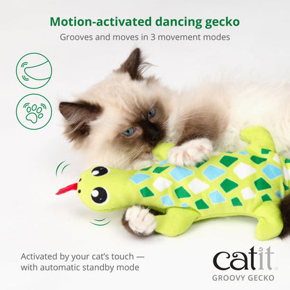 CatIt - Groovy Gecko