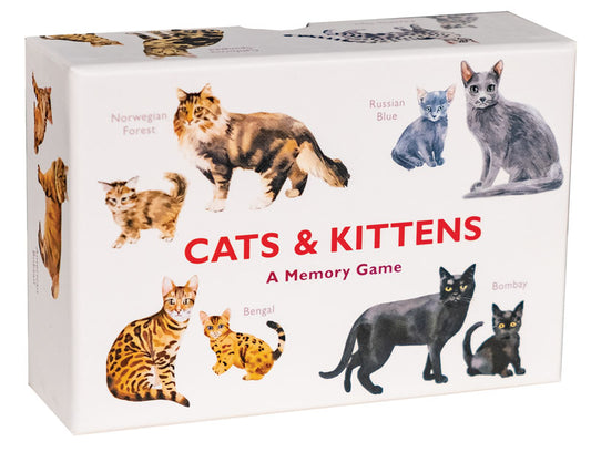 Cats and Kittens: A Memory Game